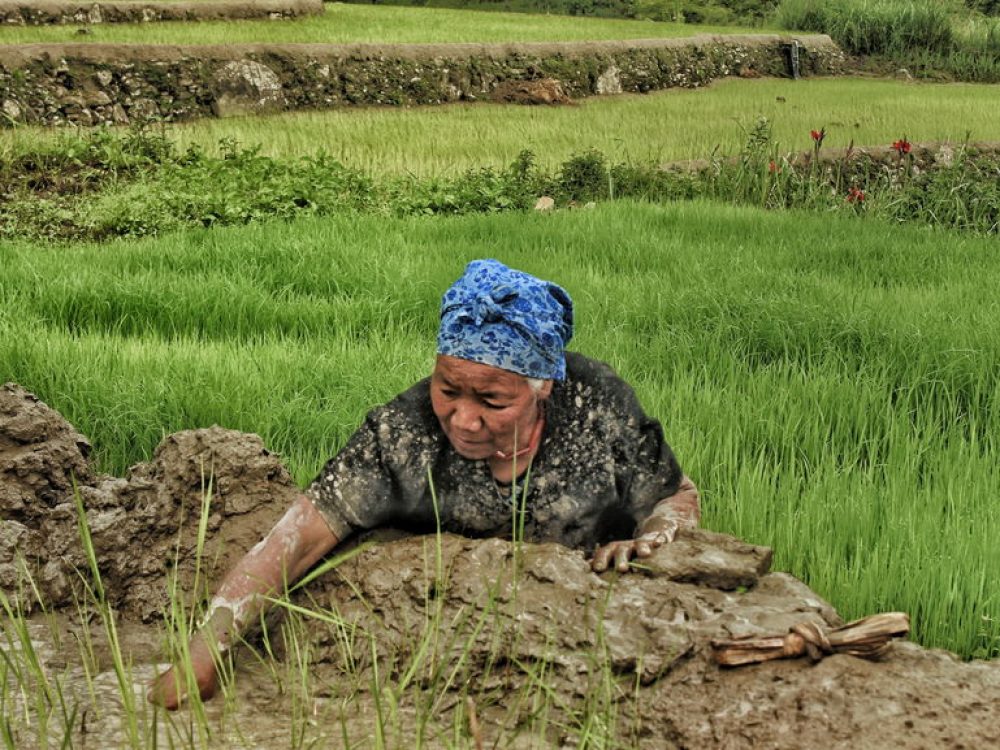 imgonline-com-ua-compressed-S7ou0Tp5dQ