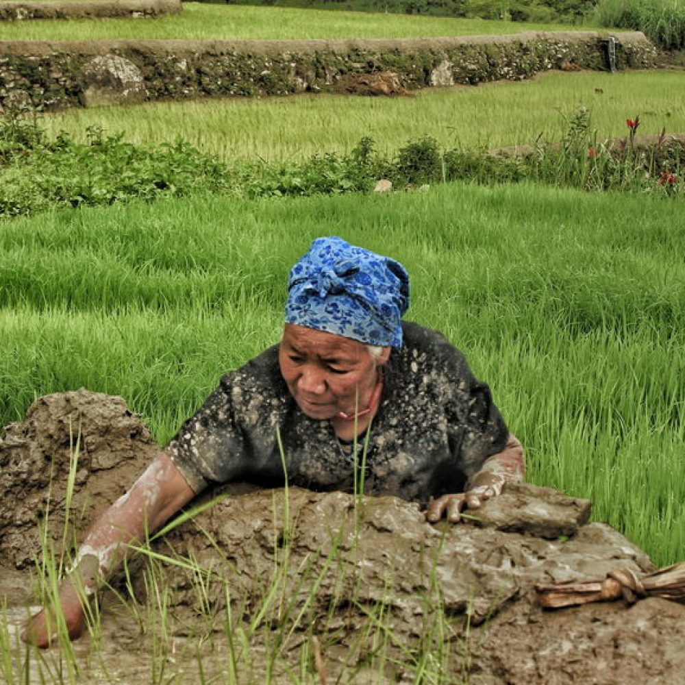 imgonline-com-ua-compressed-S7ou0Tp5dQ