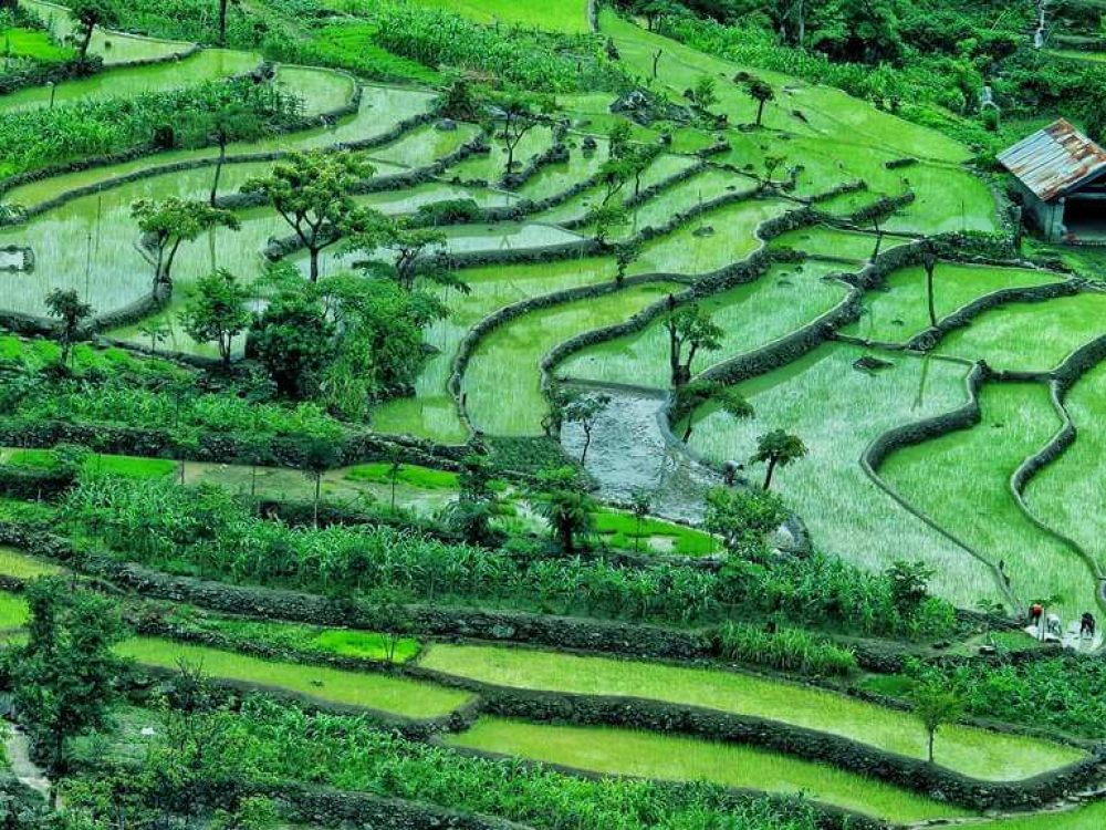 imgonline-com-ua-compressed-dUr2FWVScgHyMy